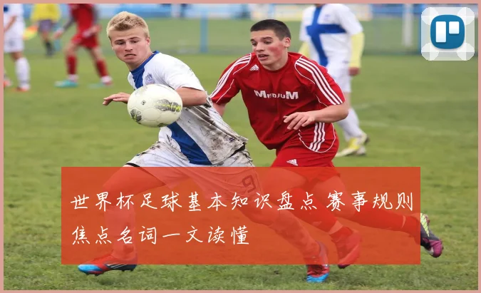 世界杯足球基本知识盘点 赛事规则焦点名词一文读懂