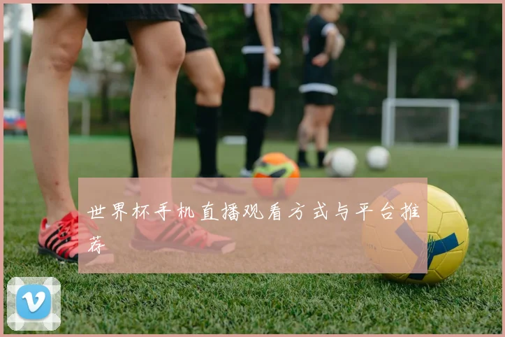 世界杯手机直播观看方式与平台推荐