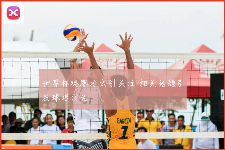世界杯观赛方式引关注 相关话题引发球迷讨论