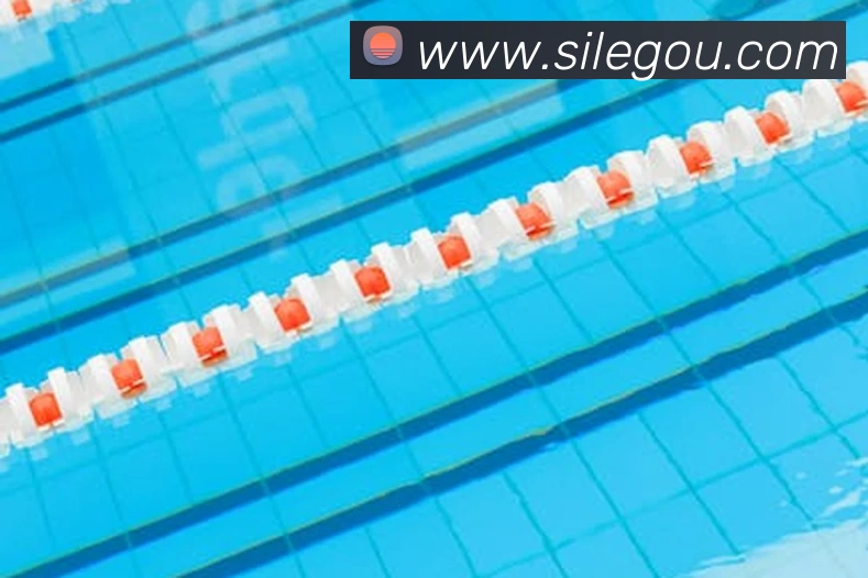 滚球买球的app官网服务体系